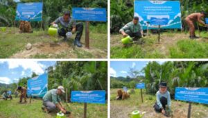 Perkuat Ekonomi Sirkuler di Rammang-rammang, PT Vale Donasi 5.000 Bibit Pohon
