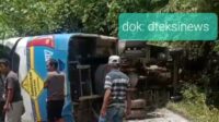 Diduga Rem Blong, Bus Damri Tujuan Tentena- Poso Terguling