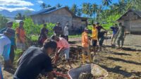 Dibawah Teriknya Matahari,Tetap Semangat Satgas TMMD Kodim 1307/Poso Bersama Masyarakat Lakukan Penimbunan Pondasi RTLH