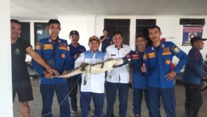 Lagi, Warga Morowali Temukan Buaya di Pantai Bahururu