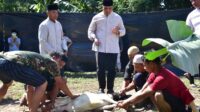 Spektakuler Pertamakalinya Korem 132 Tadulako Sembelih 32 Hewan Qurban
