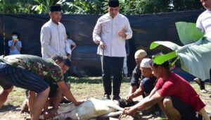 Spektakuler Pertamakalinya Korem 132 Tadulako  Sembelih 32 Hewan Qurban