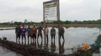 Para Babinsa Kodim 1311 Morowali, Laksanakan Kegiatan Ketahanan Pangan di Desa Tirongan Atas dan Desa Posangke 