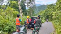  Serka Ramli, Berpartisipasi dalam Kegiatan Pembersihan Jaringan bersama PLN  di Kecamatan Soyo Jaya