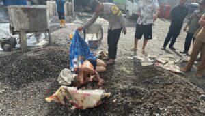 Polres Morowali berhasil Ungkap dan Tangkap Tersangka Pembunuhan TKA di Mess PT.KTGI Morowali