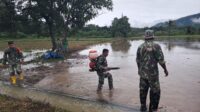 Wujudkan Ketahanan Pangan, Para Babinsa Koramil 1311-04 Lembo Tanam Padi Bersama Masyarakat di Desa Tinompo 