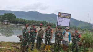 Para Babinsa Koramil 1311-01 Bungku Tengah, Laksanakan Pengolahan Lahan Ketahanan Pangan di Desa Solonsa Jaya