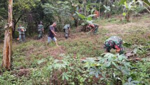 Mendukung Ketahanan Pangan Nasional, Babinsa 1311-03 Buka Lahan Jagung 