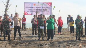 Kodim 1311 Morowali dan IMIP Tanam Ribuan Mangrove 