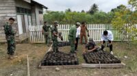 Kolaborasi Pembibitan Pohon Kayu Keras oleh Babinsa Koramil 1311-08 Soyo jaya, Linmas, dan Pemdes Panca Makmur Kabupaten Morowali Utara