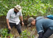 Peduli Lingkungan, IMIP Kembali Tanam 3.000 Mangrove di Bete-Bete