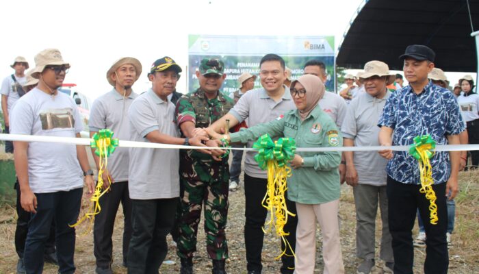PJ. Bupati dan Dandim 1311 Morowali, Apresiasi Rehabilitasi DAS dan Penanaman Pohon: Bersatu dengan Alam