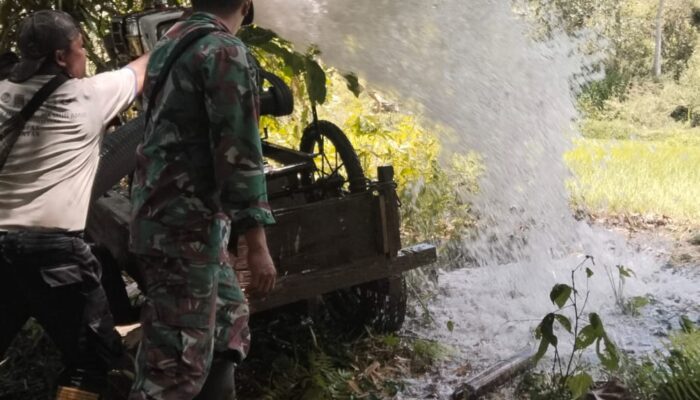 Babinsa Kodim 1311 Morowali, Uji Coba Pemanfaatan Mesin Pompanisasi di Lahan Persawahan 