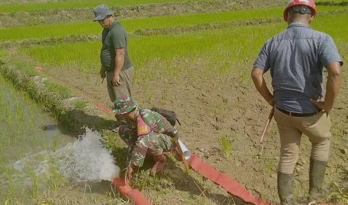 Babinsa Kodim 1311 Morowali  Serda Agus Riadi, Laksanakan Uji Coba Pemanfaatan Pompa di Tiga Titik Persawahan 