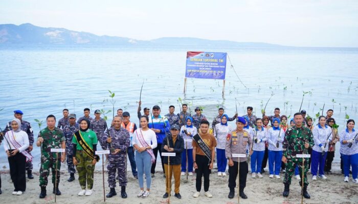 Serbuan Teritorial TNI, Lanal Palu  Penanaman Mangrove dan Pembersihan Pantai Dalam Rangka Hari Maritim Nasional Serta HUT TNI Ke-79