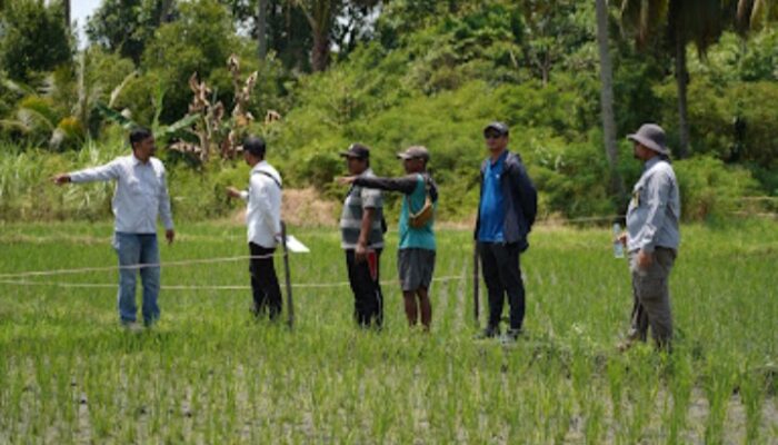 Pengawasan Pertanian Organik: Langkah Strategis PT Vale Indonesia Wujudkan Pertanian Berkelanjutan dan Berkualitas di Morowali