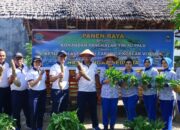 Lanal Palu Gelar Olahraga  Bersama dan Panen Raya, Peringatan Hari Ketahanan Pangan Sedunia 