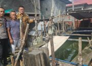 Polsek Bumi Raya Berikan Bantuan Benih Lele untuk Dukung Petani Budidaya di Desa Parilangke