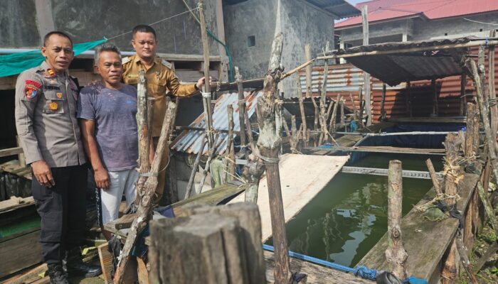 Polsek Bumi Raya Berikan Bantuan Benih Lele untuk Dukung Petani Budidaya di Desa Parilangke