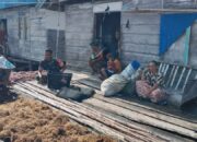 Babinsa Koramil 1311-02 Anjangsana Petani Rumput Laut