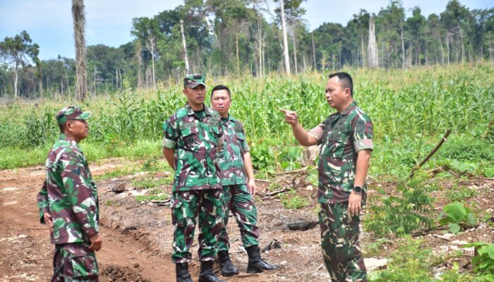 Danrem 132/Tdl Meninjau Perkembangan Ketahanan Pangan di KPN