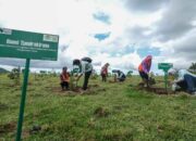 Hadirkan Masa Depan Berkelanjutan, PT Vale Dukung Rehabilitasi DAS di Sulawesi Selatan