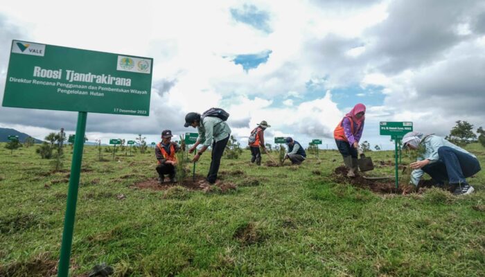 Hadirkan Masa Depan Berkelanjutan, PT Vale Dukung Rehabilitasi DAS di Sulawesi Selatan