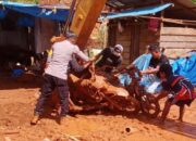 Polres Morowali Utara Terjunkan Puluhan Personel Pasca Banjir Bandang,Ini Penjelasan Kapolres