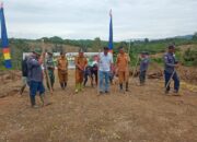 Dukung Ketahanan Pangan, Babinsa Desa Peonea Tanam Padi Gogo