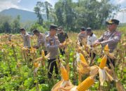 Polres Morowali Utara, Sukses Dukung Ketahanan Pangan