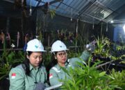 Wujudkan Pendidikan Berkualitas di Luwu Timur, Rektor Unhas:Green Mining PT Vale Jadi Pusat Vokasi Hilirisasi Indonesia Timur