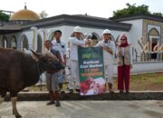 Jelang Idul Adha 1446H, IMIP Salurkan 22 Ekor Sapi di Morowali