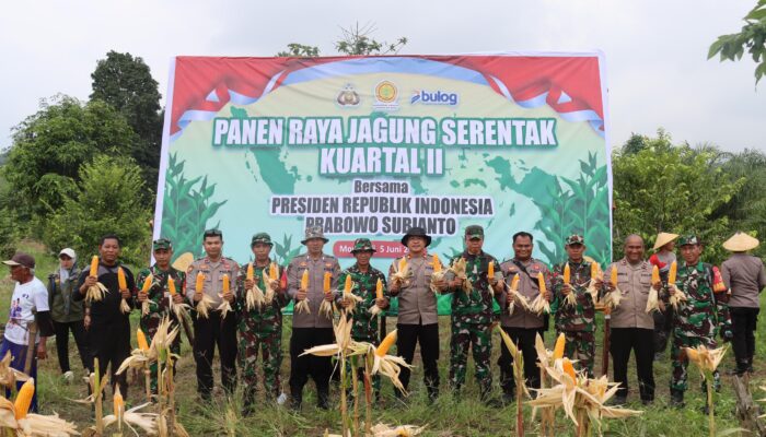 Polres Morowali Gelar Panen Jagung Kuartal II Dukung Swasembada Pangan 2025