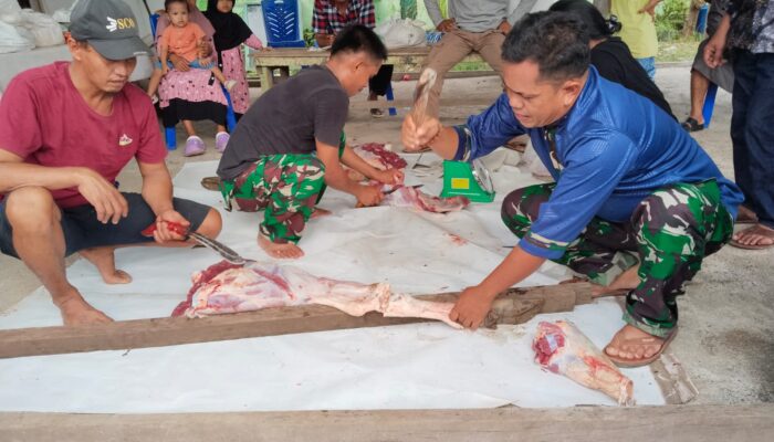 Peringatan Hari Raya Idul Adha 1446 H, Koramil 1311-09/Bahodopi Laksanakan Pemotongan Hewan Qurban
