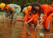 IMIP Raih 3 Kategori Penghargaan Nasional Nusantara CSR Awards 2025