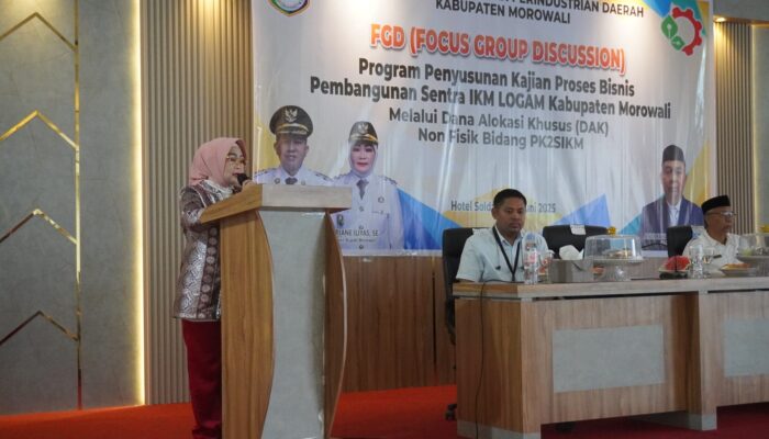 Wakil Bupati Morowali Hadiri FGD Kajian Proses Bisnis Sentra IKM Logam