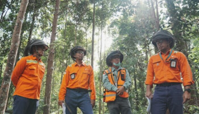 PT Vale Indonesia Tbk Masuk Dalam Daftar Fortune Southeart Asia 500 Tahun 2025