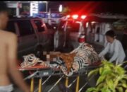 Penumpang Bus Borlindo dari Morowali, Melahirkan di Toilet SPBU Binturu Palopo