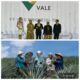 Kebun Nanas Tabarano, Antar PT Vale Raih Dua Penghargaan Green Leadership dan Social Empowerment category di Bangkok