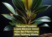Tanaman Asal Filipina Pemakan Logam Beracun
