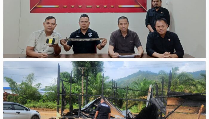 Polres Morowali Utara Amakan Dua Belas Orang Tersangka dan Barang Bukti Sajam 