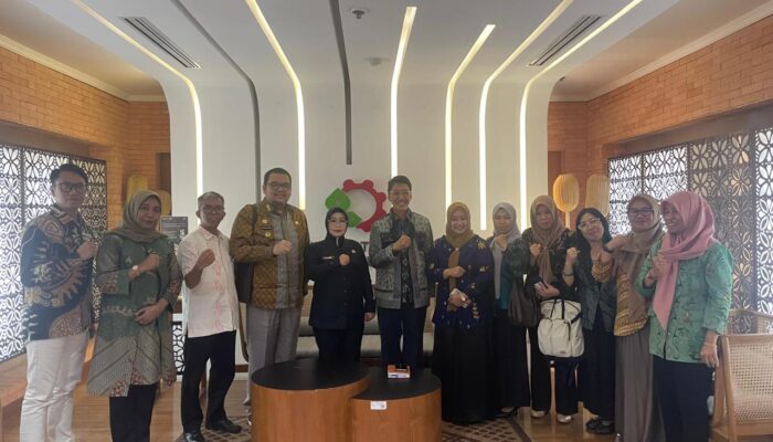 Wakil Bupati Morowali, Iriane Iliyas Hadiri Audiensi DAK Tematik IKM Kawasan Industri di Jakarta