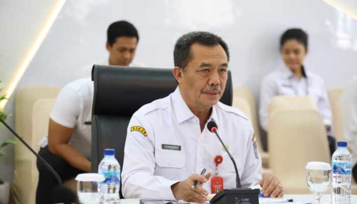 Wujudkan Kemandirian Ekonomi Daerah, Kemendagri Dorong Penguatan Pembinaan dan Pengawasan BUMD