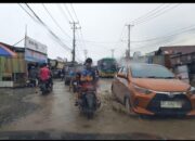 Jalan Raya Bahodopi Rusak Parah, Persis Kubangan Kerbau