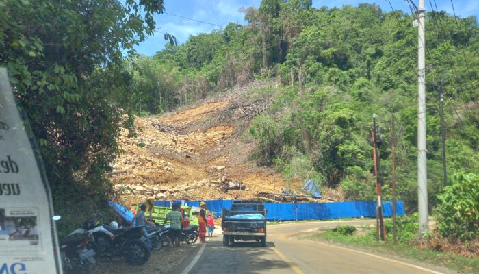 Tanpa Dirusak Tambang Nikel, Valuasi Ekonomi Hutan Morowali Bisa Capai Rp 2,81 Triliun per Tahun, Lebih Tinggi dari Pendapatan Daerah