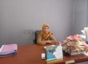 Waspada! Kasus HIV di Kecamatan Bungku Tengah Urutan kedua