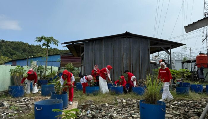 Persit Ranting 10 Koramil 1311-09/Bahodopi,Dukung Ketahanan Pangan 