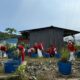 Persit Ranting 10 Koramil 1311-09/Bahodopi,Dukung Ketahanan Pangan 