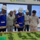 Tingkatkan Ekonomi Nasional, Wamenperin Tegaskan Dukungan Pemerintah ke IMIP