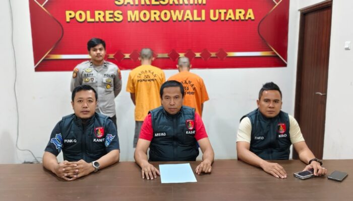 Polres Morowali Utara, Ciduk Dua  Pelaku Pencurian Ternak